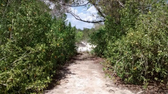 Wege in die Natur 