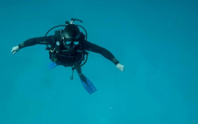 buceo
