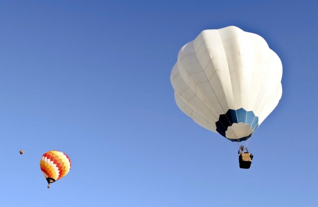  vieni a volare 