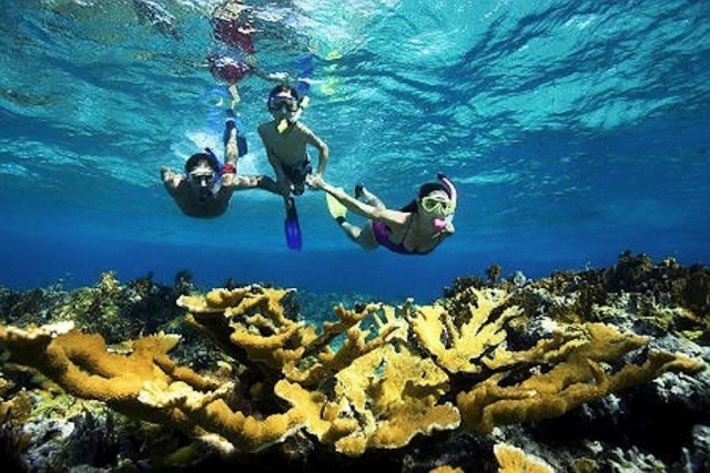  Crianças conhecem o coral 