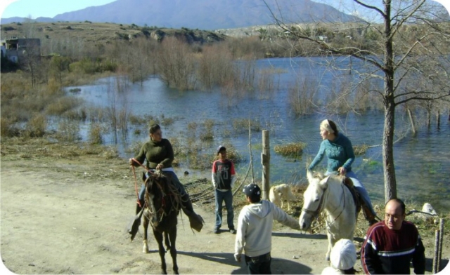 caballo blanco