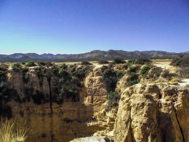 cenote el pozo del gavilan