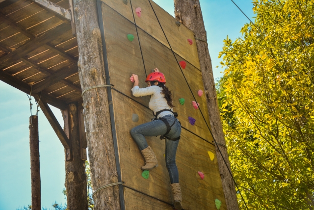  Climbing Wall 
