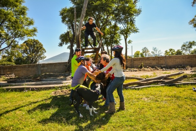 Team Building Activities 