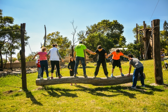  Team Building Activities 
