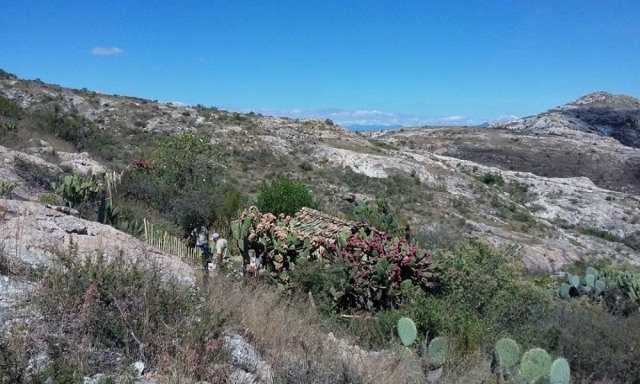 bebendo bebida dos deuses 