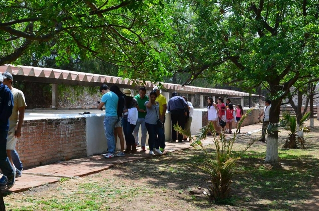  Tour of the cheese farm 