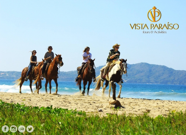  our tours 
