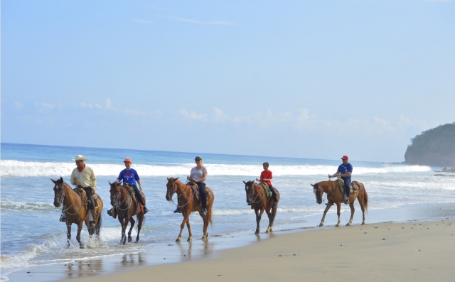 Cavalos Rachages 