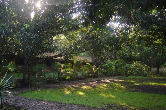 普埃布拉梅克斯 