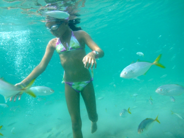  Plongée en apnée gratuite 