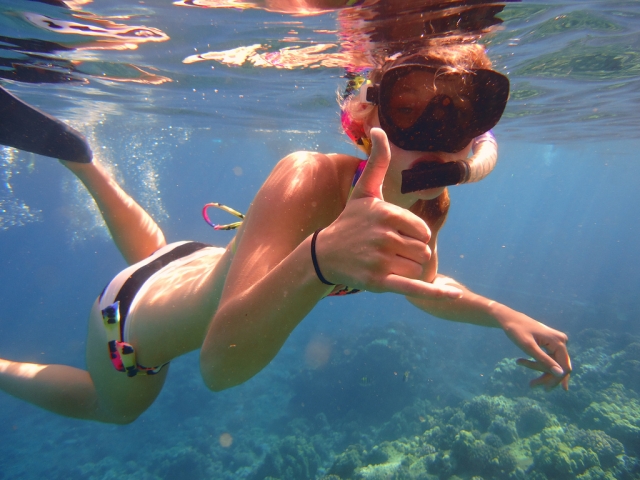  faites du snorkeling avec nous 