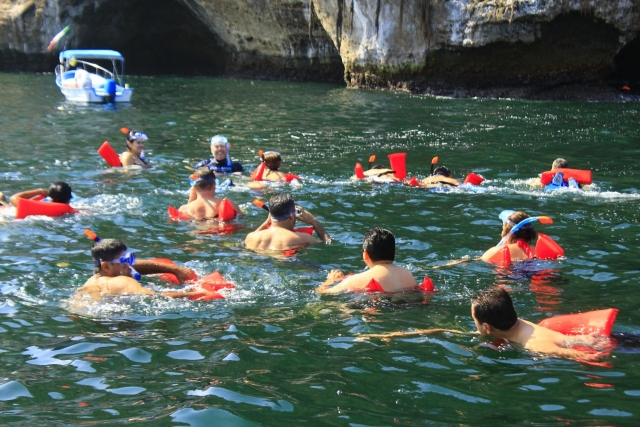  Swimming with whales 
