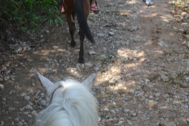  horseback riding in Puebla 