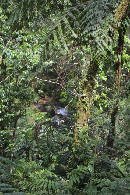  ecoparks in Puebla 