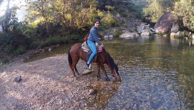 Équitation Tepatahua 