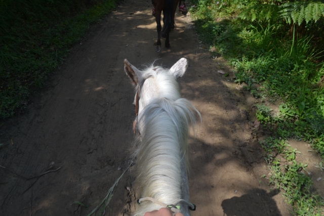  équitation dans notre parc à Cuetzalan 