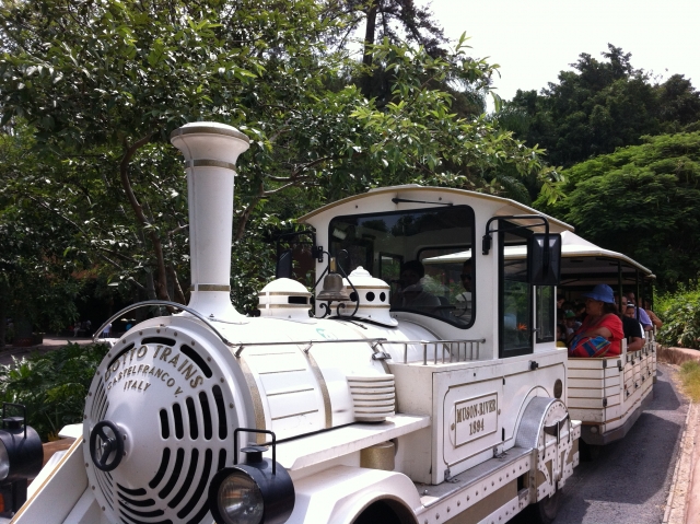  get on the safari train 