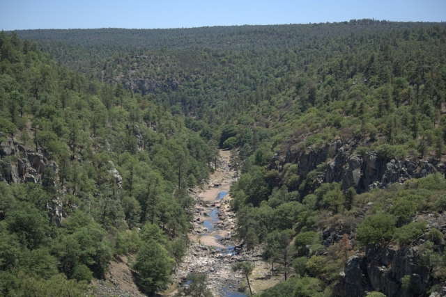  Durango 