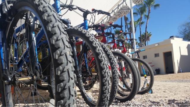  our bicycles 