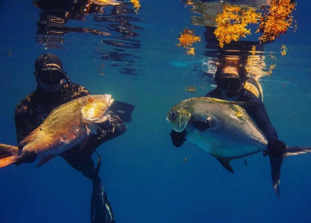  Speerfischen