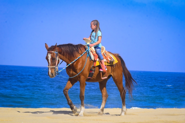  Ride Horse 