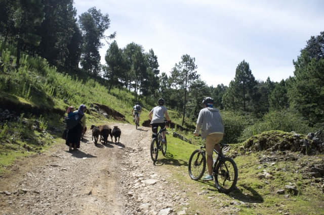 rutas en bicis