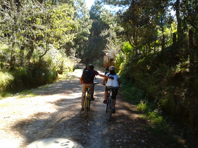tours en bici