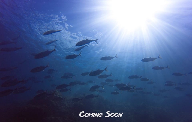  28378378 403632523414739 2475009776122857563 n 