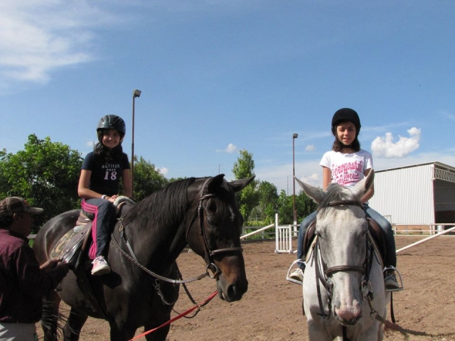  équitation 