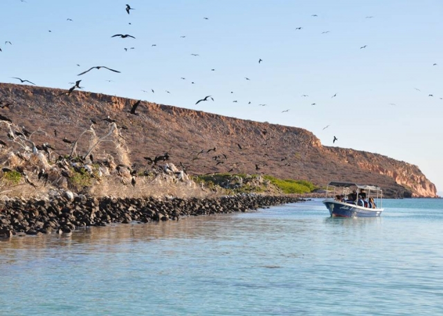  AVISTAÇÃO DE ADIMENTO 