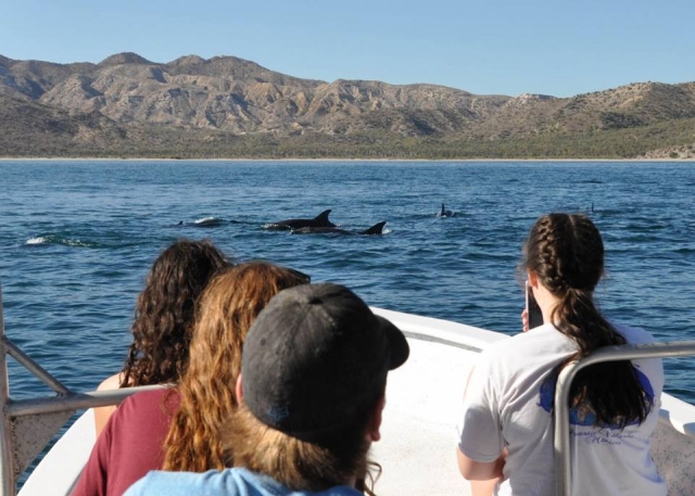  logotipo Sopndee com a rota 