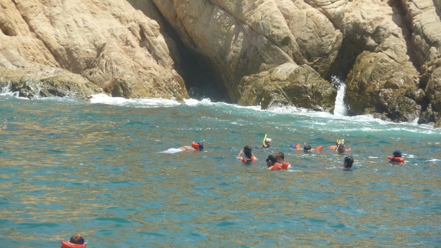  Snorkel with the family 
