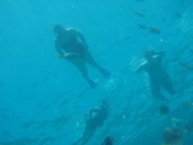  Practice Snorkeling 