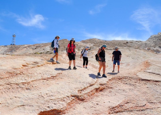  desfrute do terrível 