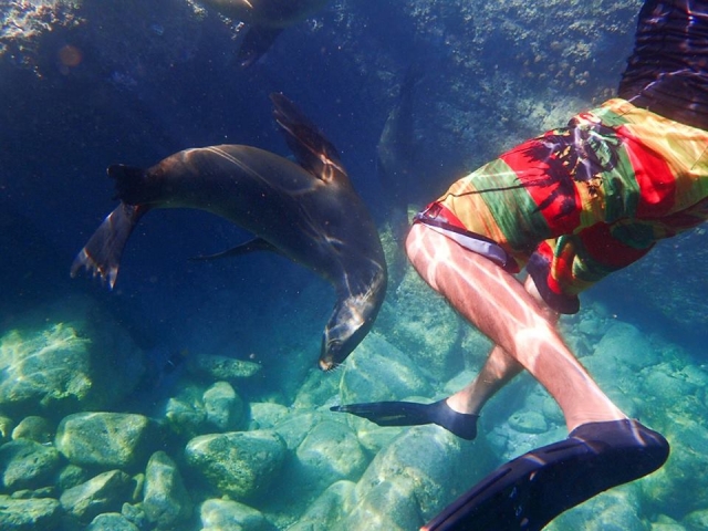  Nada em cristalino águas