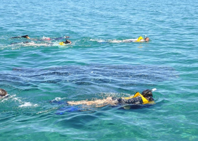  Snorkel em Cabo San Lucas 