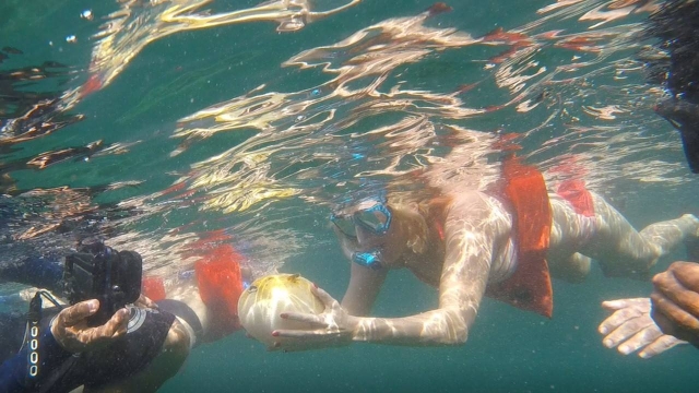  Snorkel em Vallarta