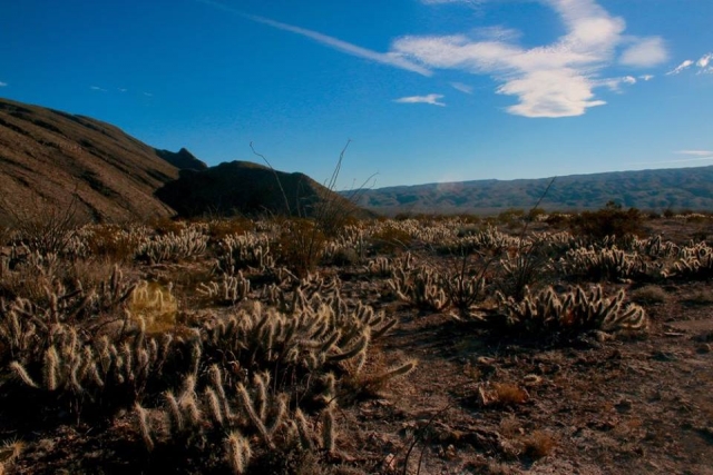  Goditi la magica città 