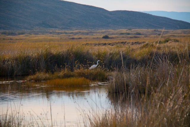  Esplora la sua flora e fauna 