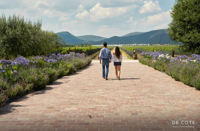 Recorridos caminando