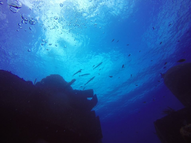 Vistas desde la profundidad