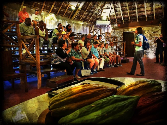 Conferencias sobre su proceso