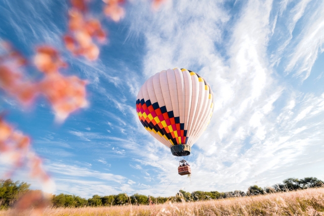  Balloon Flight in Zacatecas 