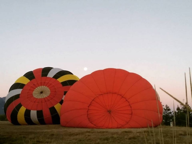 Different balloon designs 