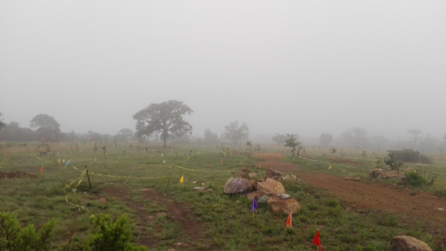 NEBLINA