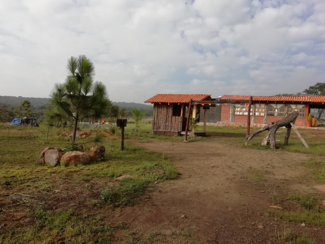 CAMINATA AMENALCO