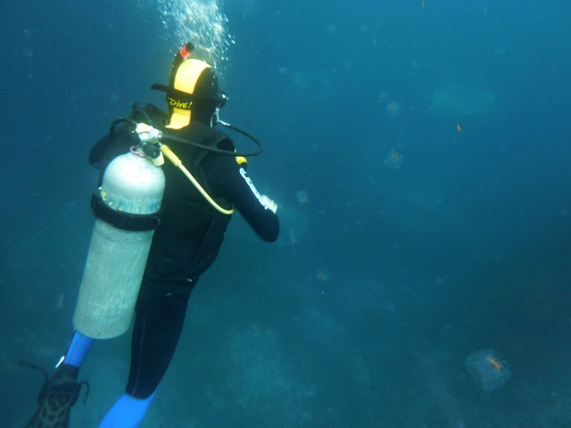  沉浸在美丽的风景中 