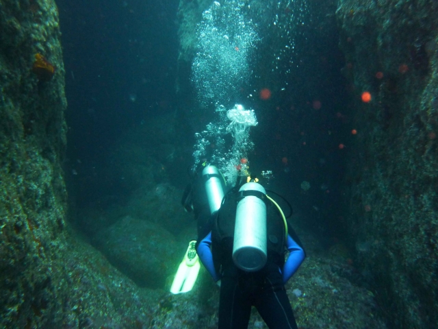  了解玛雅地下世界 