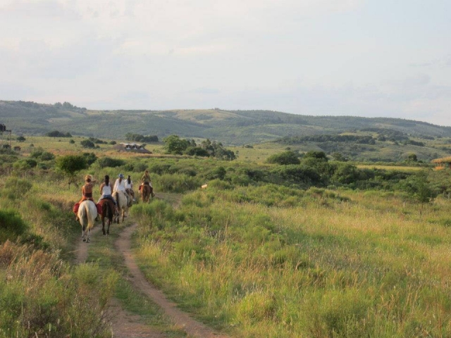  Through the countryside on horses 
